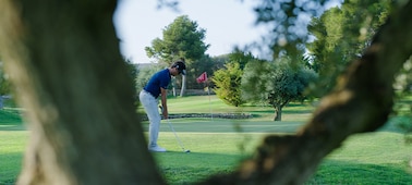 Imagen de ejemplo de un jugador de golf enfocado con un tronco de árbol desenfocado en primer plano